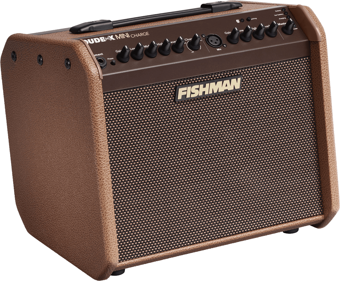 LOUDBOX MINI CHARGE AMPLIFIER