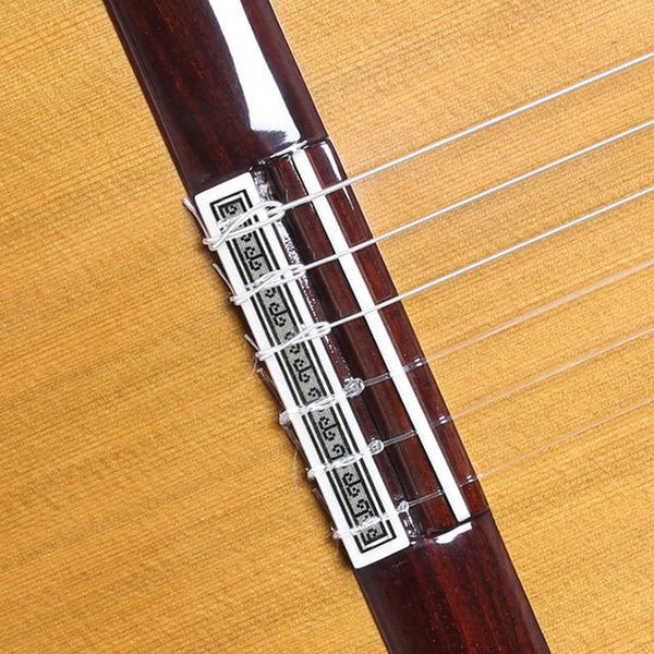 Professional Luthier Moncabrer Nitro + 9650 Bam Iconic Case