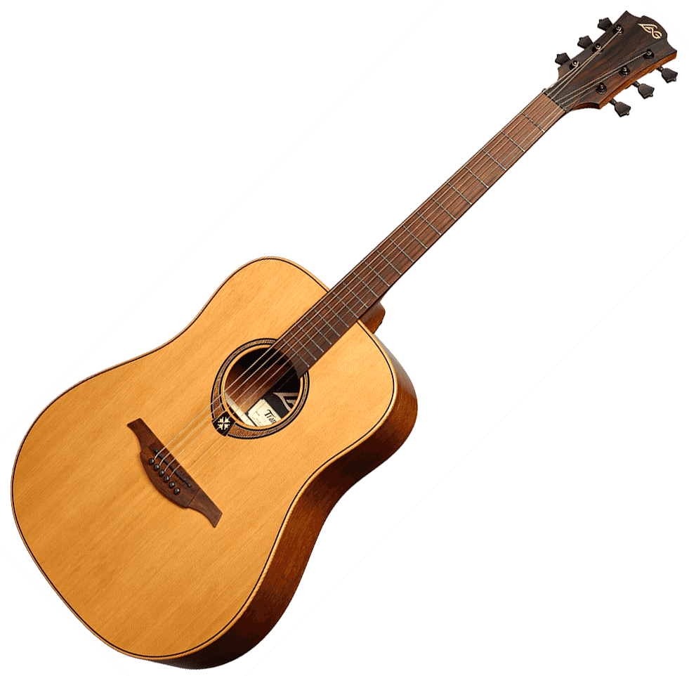Tramontane T170D Dreadnought