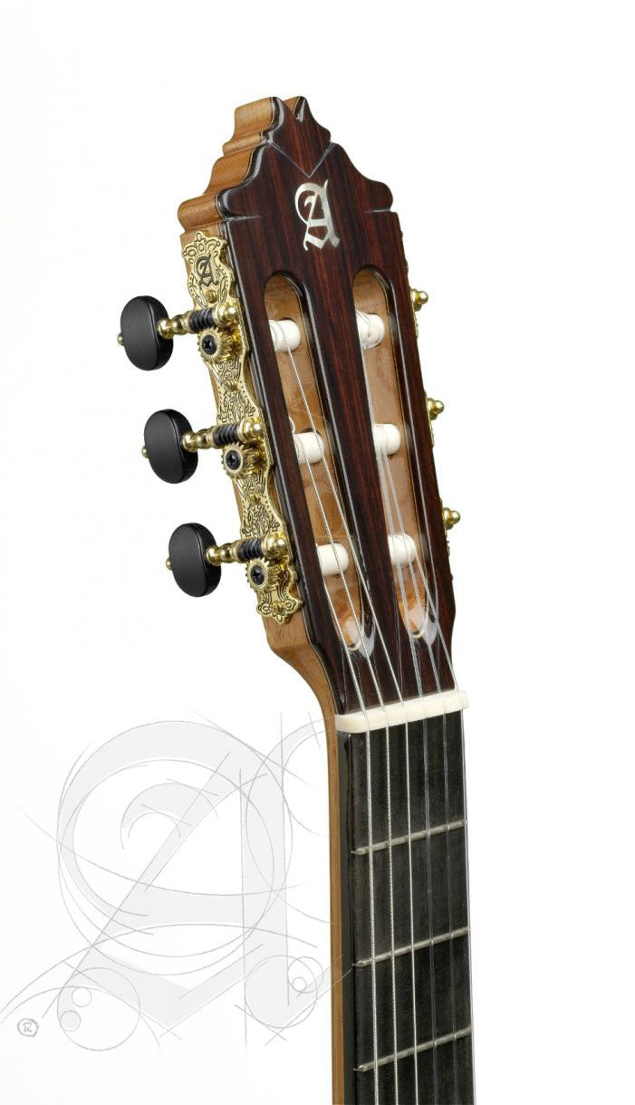 Concert 9P 7/8 Senorita + 9562 Case