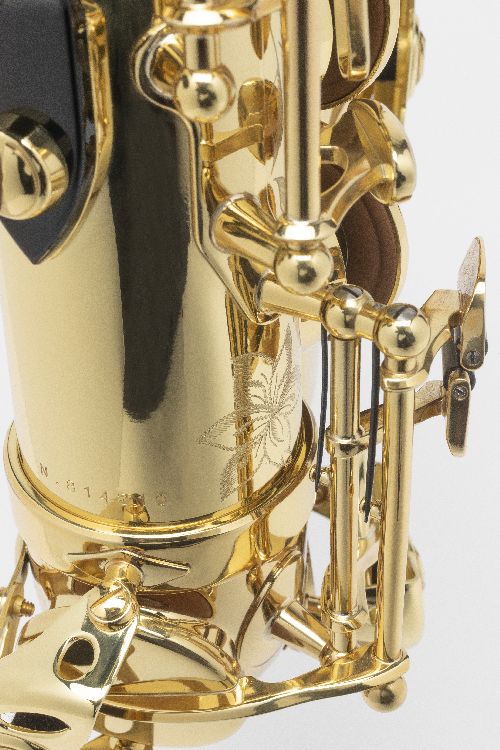 Axos - B-Tenor Lackiert