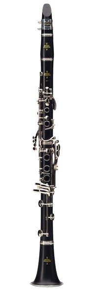 E11 B (18 Versilberte Klappen) - BC2501L-2-0