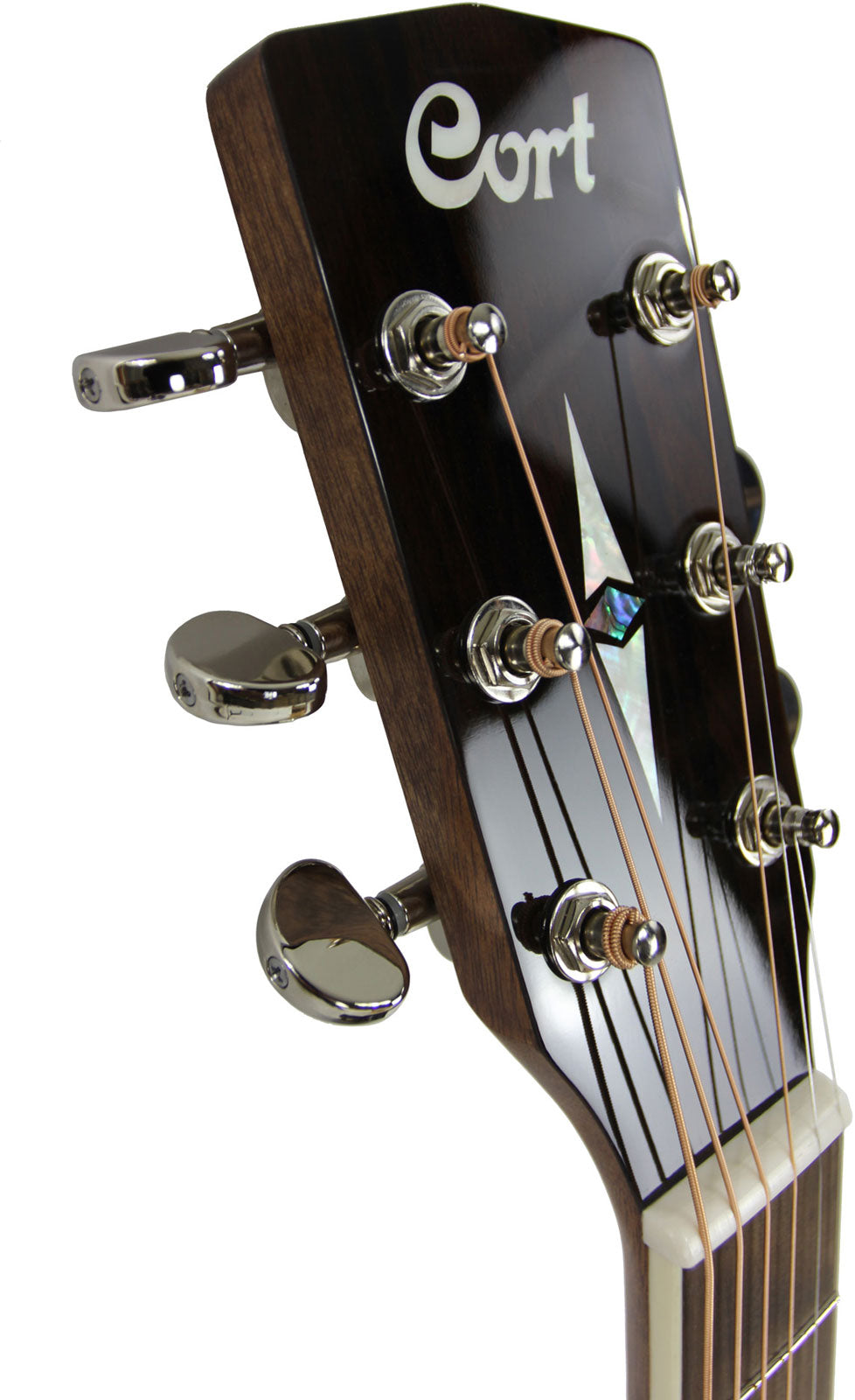 Guitar Cort Mr710F Ziricote Brillant