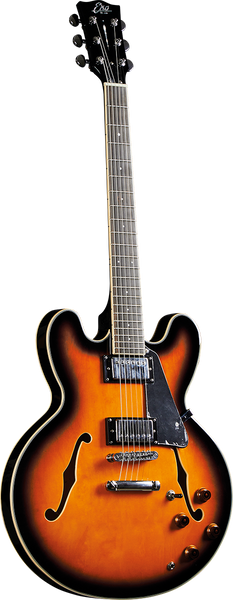 Type Hollowbody double cut Sunburst