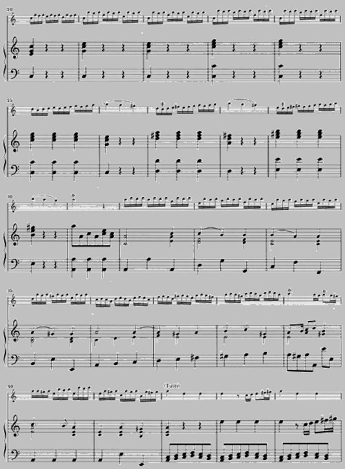 Vivaldi A. - Concerto For Flautino (Recorder/Flute) And Orchestra C Major Op. 44 11 Rv 443