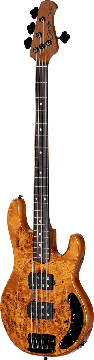 Ray 34 HH Poplar Burl Amber