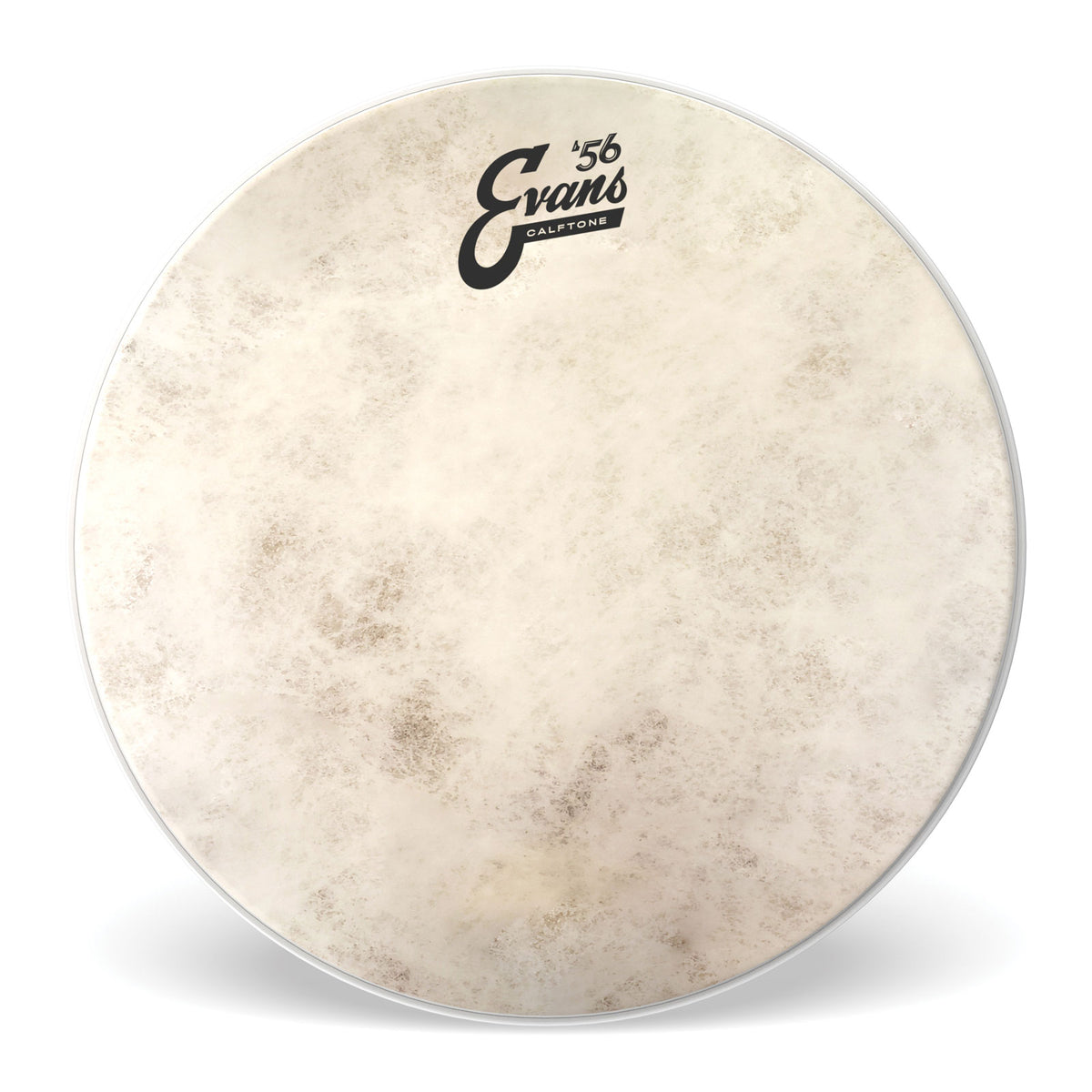 Evans TT14C7 - CALFTONE 14