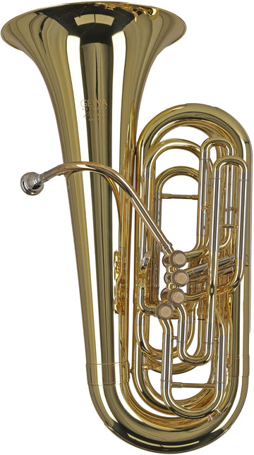 Ambition BB501C Contrebasse Ut Verni