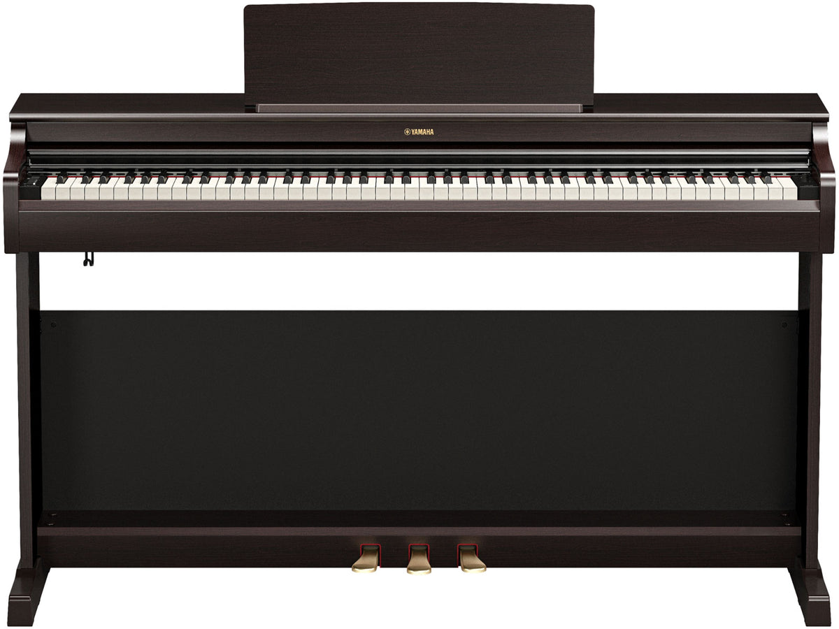 YDP-166 Rosewood