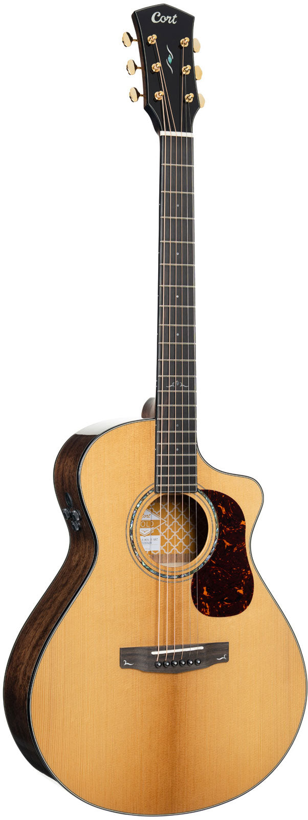 Gold MC6 Ovangkol Gloss