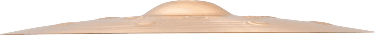 16" Ballistic