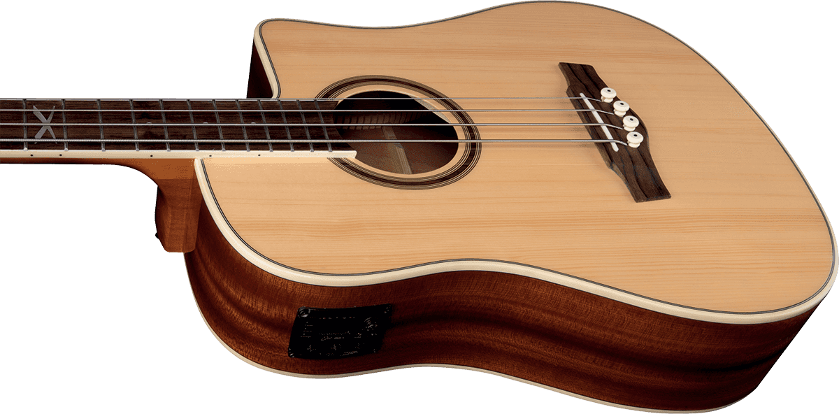 NXT B100ce Dreadnought Natur