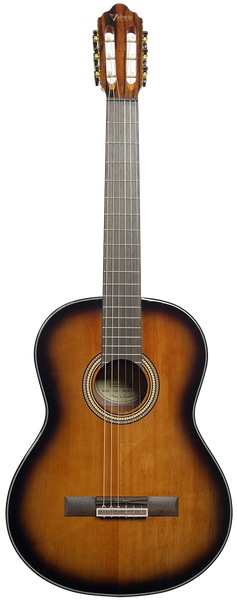 Valencia VC564 4/4 Schattiert