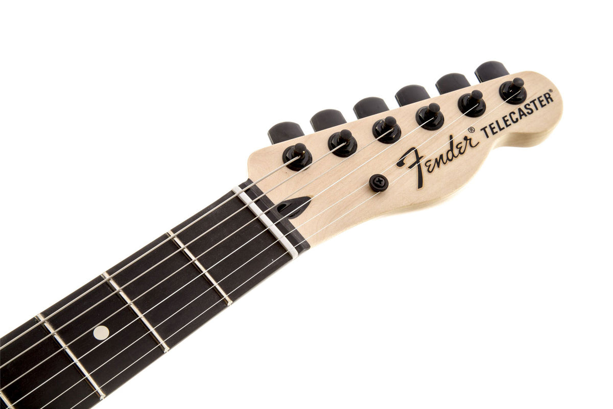 Telecaster Signature Jim Root Ebo Mattweiß