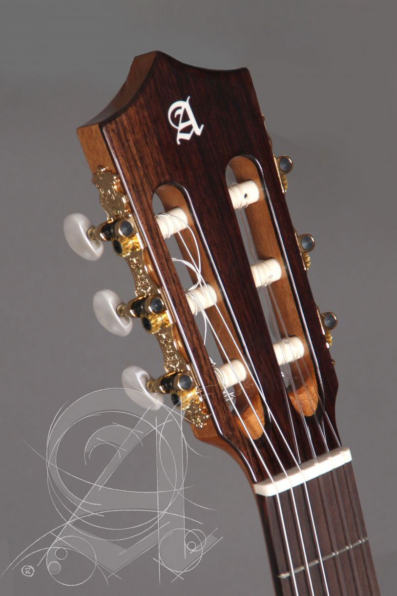 Concert Cs-Lr Cw E1 Crossover+ 9738 25mm Gigbag