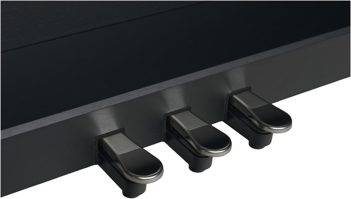 DP3 Schwarz