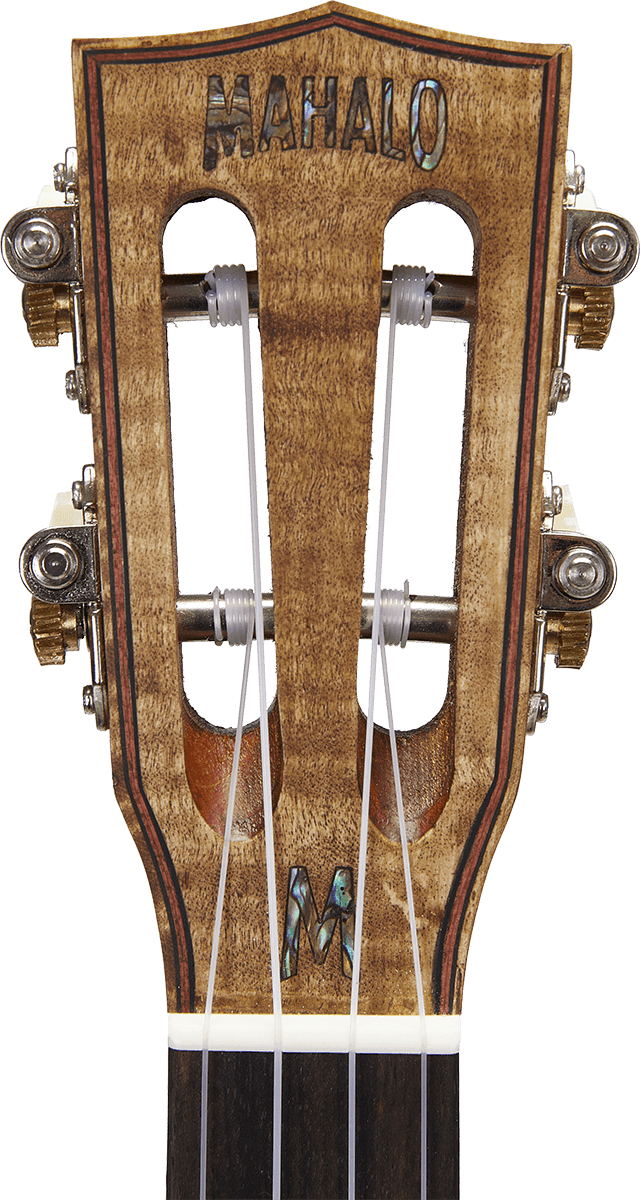 Naturbelassener Elektro-Tenor + Tasche