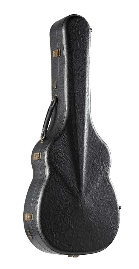 AUDITORIO POLYURETHANE FIBER CASE