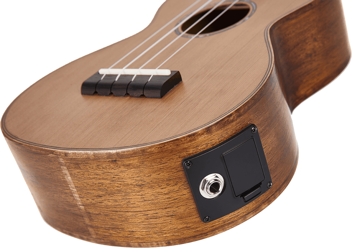 Naturbelassener Elektro-Tenor + Tasche