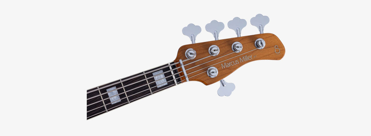 P7 Erle 5 Neue Generation TS