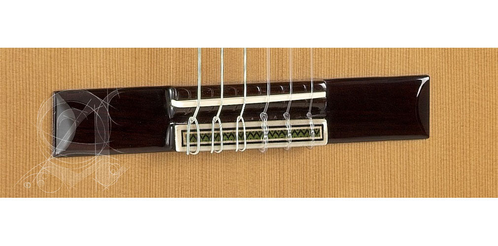Concert 9P Cw E8 + 9557 Case