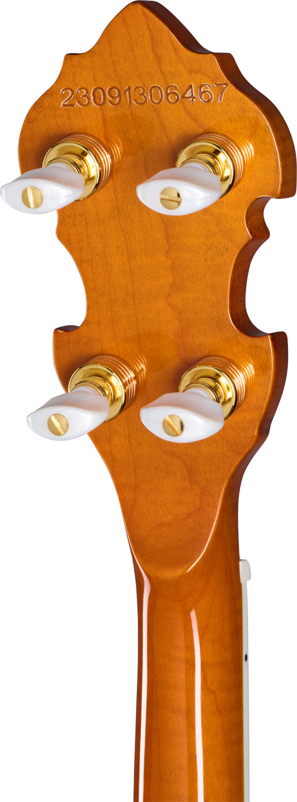 Earl Scruggs Golden Deluxe Banjo Natur Ibgcs