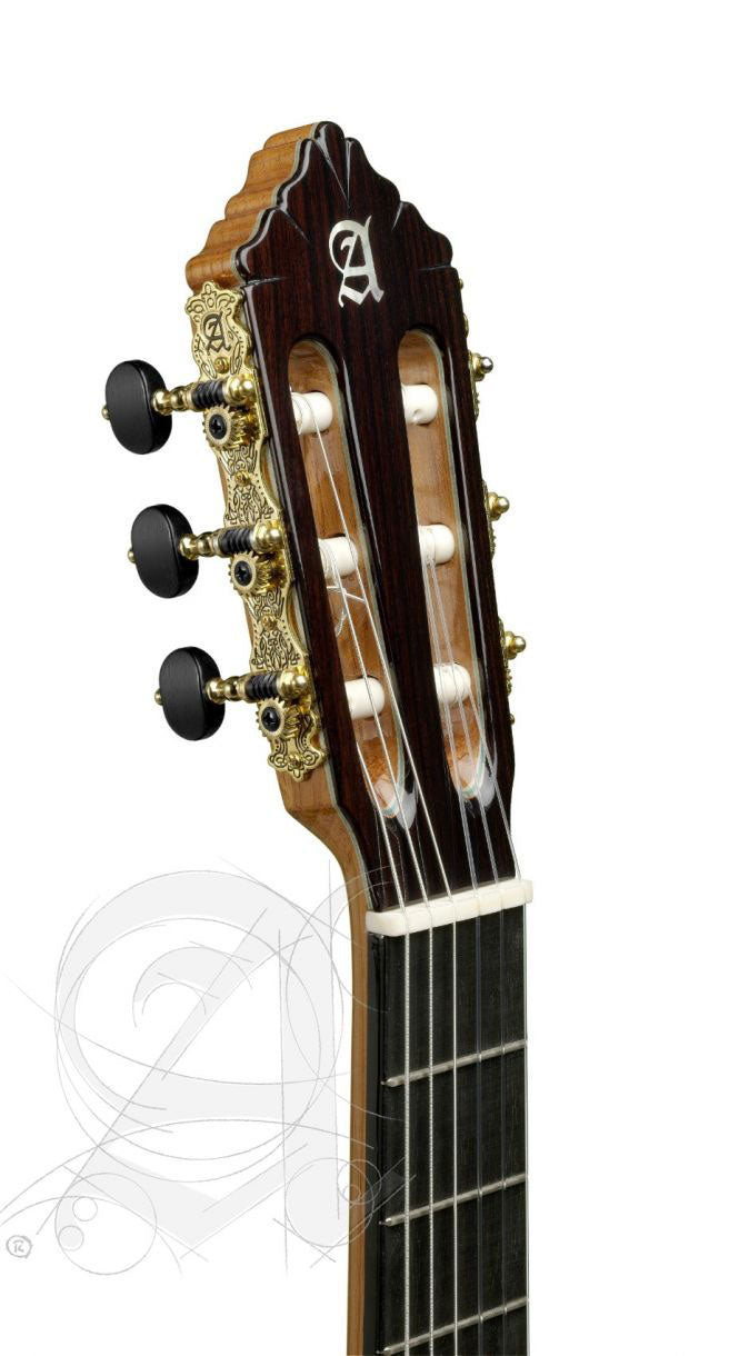 Concert 11P + Case 9557