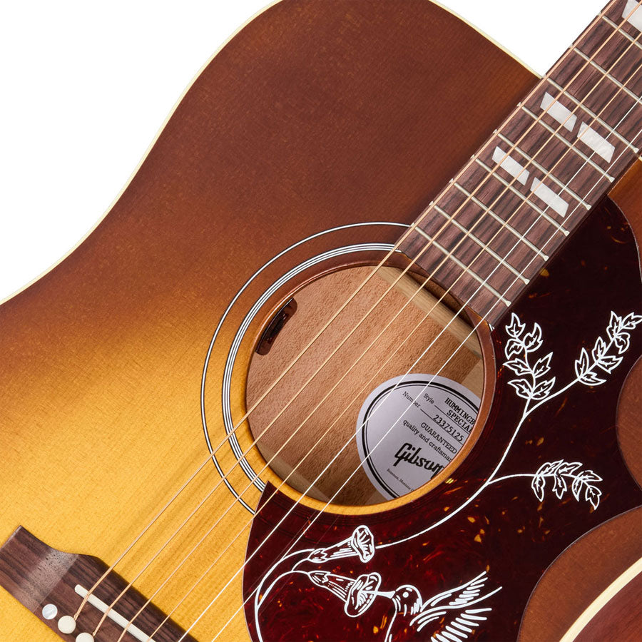 Hummingbird Special Satin-Honigburst Modern