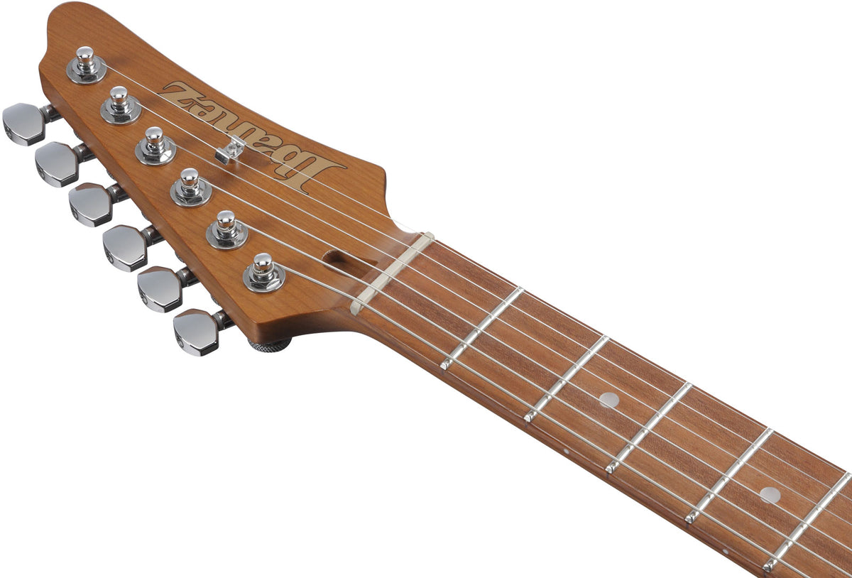 AZ24S1F-TKS Standard Transparentes Schwarz Sunburst