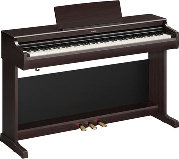 YDP-166 Rosewood