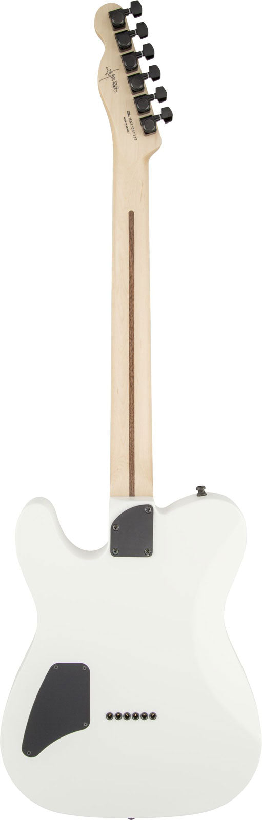 Telecaster Signature Jim Root Ebo Mattweiß