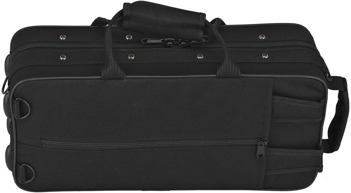 Ambition SC650 Sib Verni