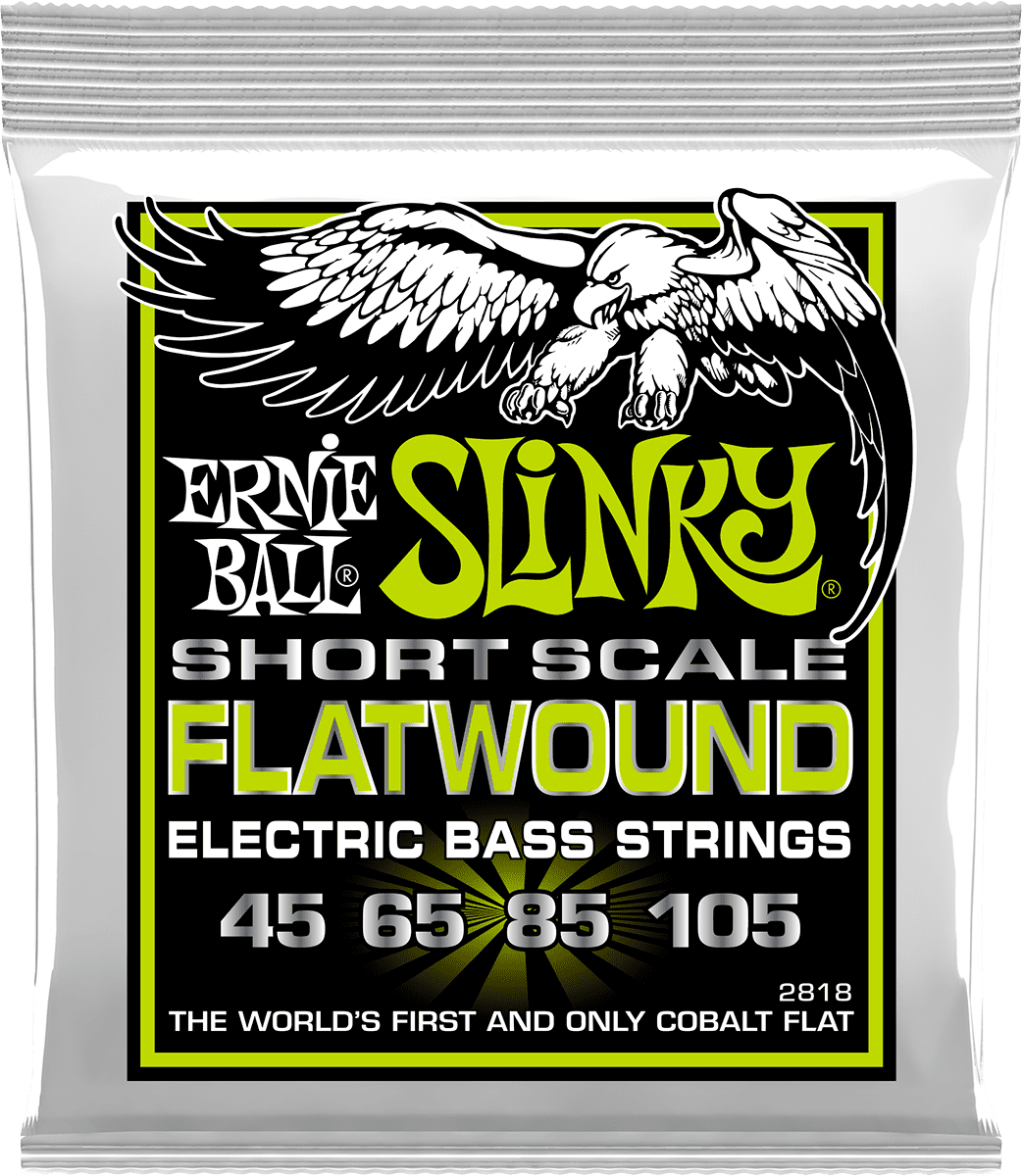 Ernie Ball 2818 REGULAR SLINKY FLATWOUND SHORT SCALE 45-105