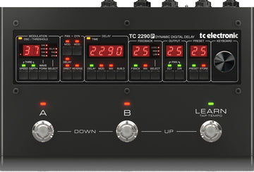 2290 P Dynamisches digitales Delay