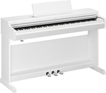 YDP-166 White