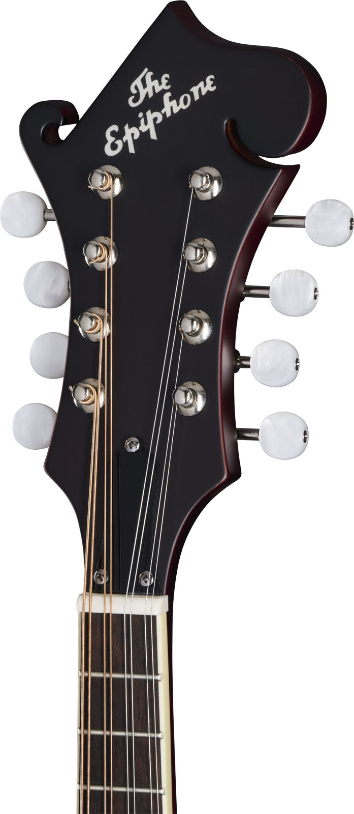 F-5 Studio Weinrot Satin Ibgcs