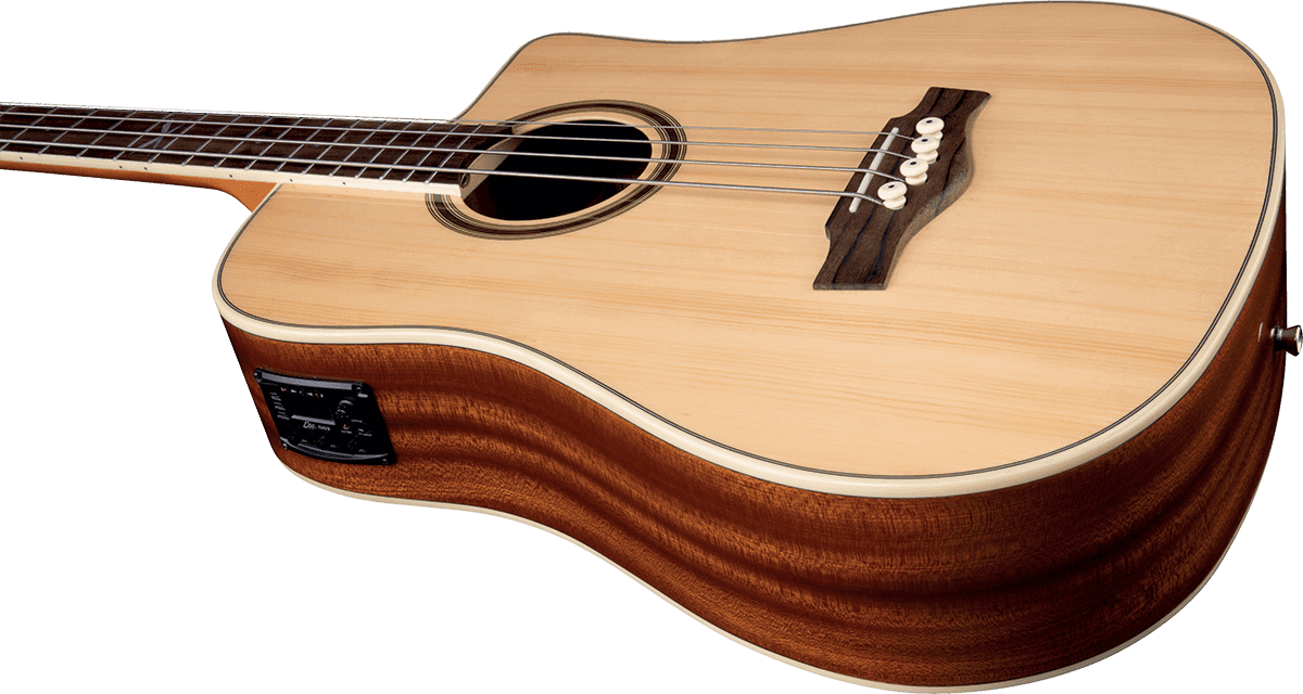 NXT B100ce Dreadnought Natur