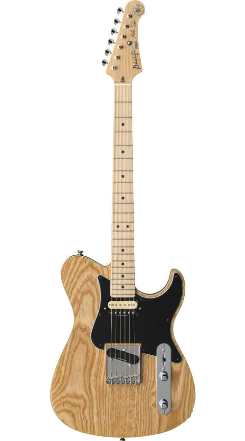 Pa1611Msnt Mike Stern Signatur Natur