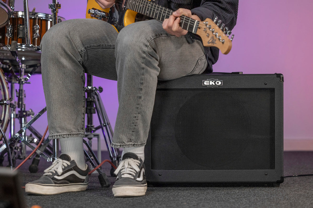 2 channels + FX loop + Reverb - 12" speaker - 50W