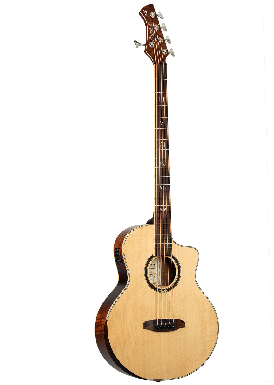 Basse Signature 5 String CW EQ