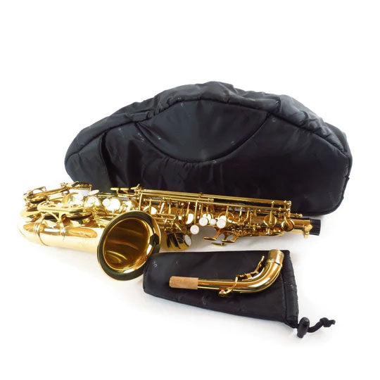 Fusion Bags Black Alto Saxophone Case