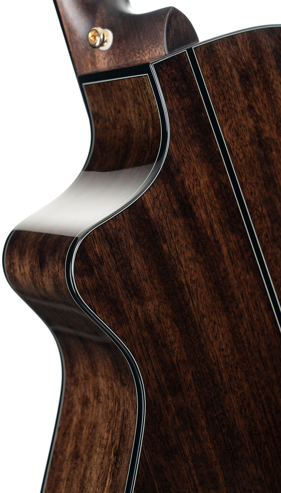 Gold MC6 Ovangkol Gloss