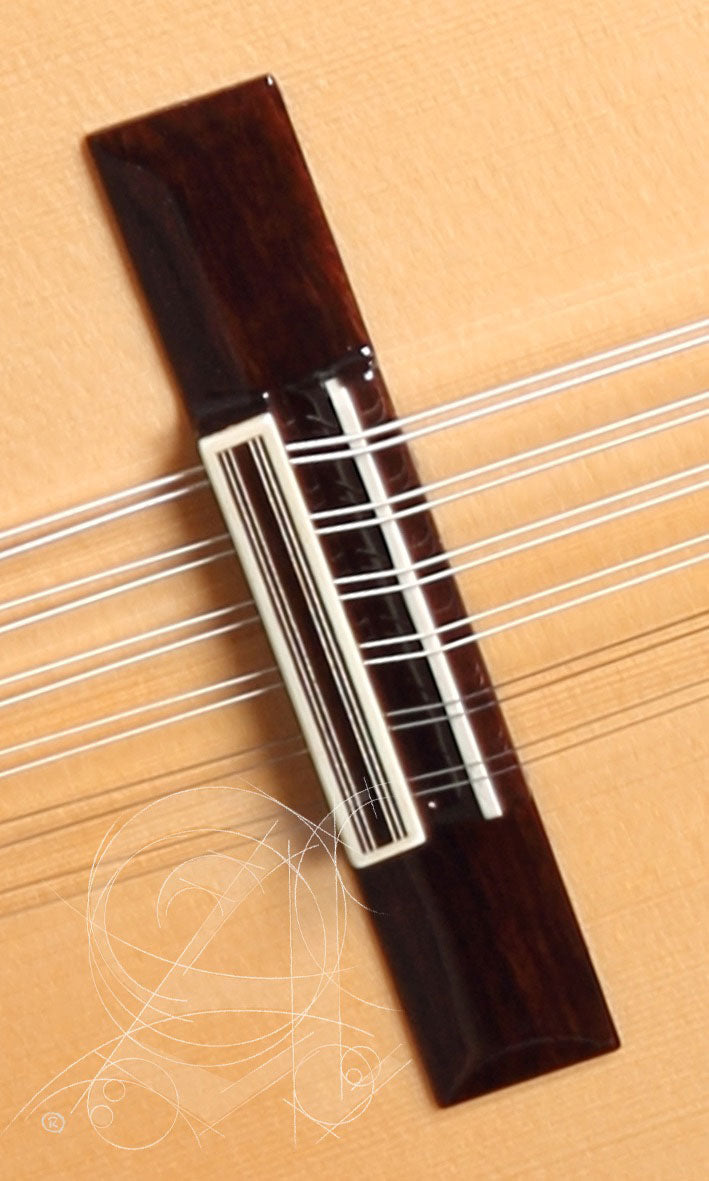 Conservatory L-6P A Lutes + 9534 Gigbag
