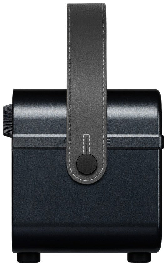 Hotone AP-20BK Pulze Jr. Schwarz