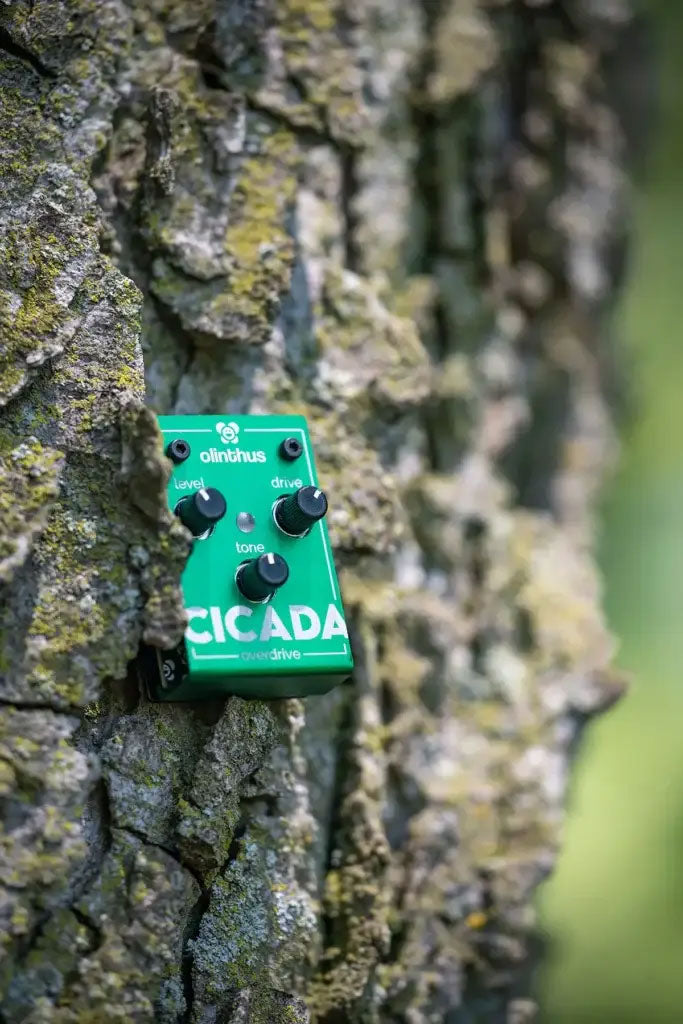 Cicada - Overdrive