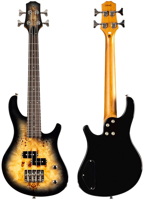 Mini Bass PBR