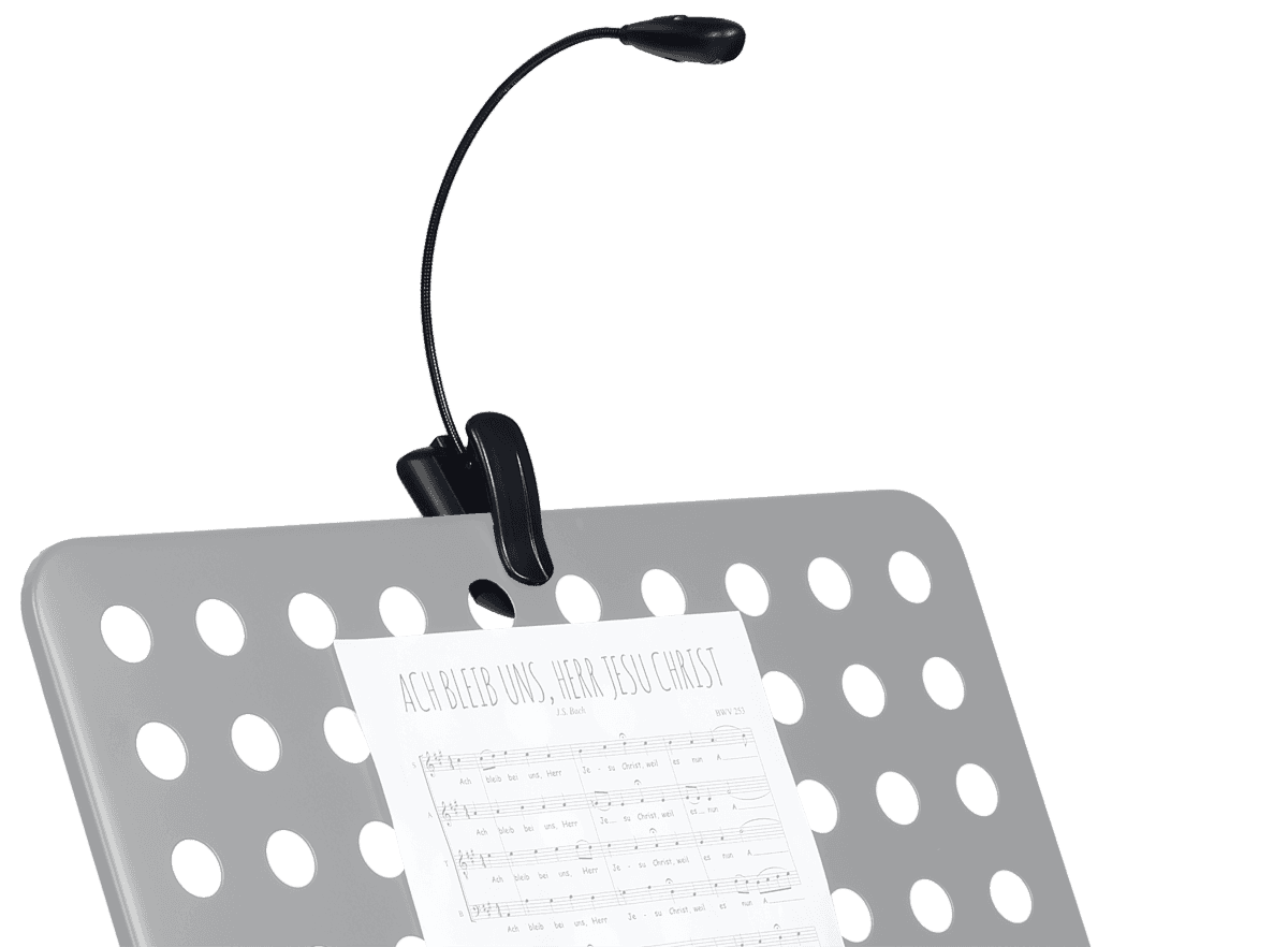 RTX LAMP ON FLEXIBLE CLIP ON HOSE (2 LEDS)