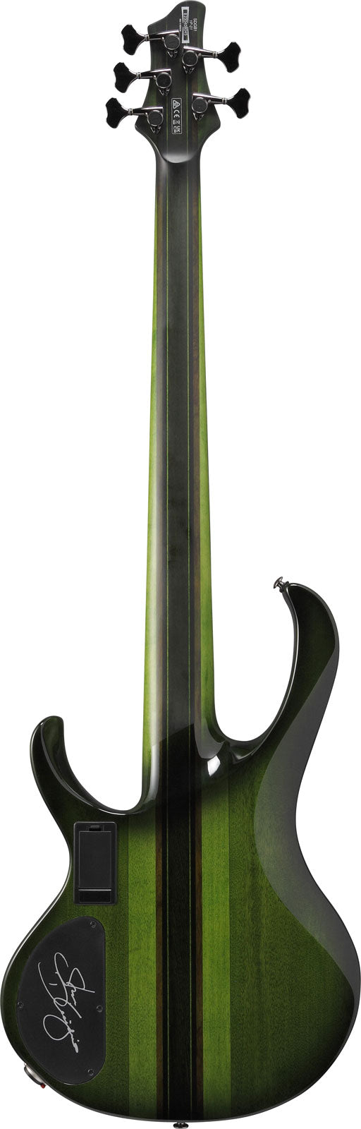 SDGB1-DMT Dunkler Moos-Burst Signature Steve Dirgio