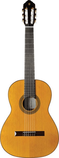 Vibra 300 4/4 Natural
