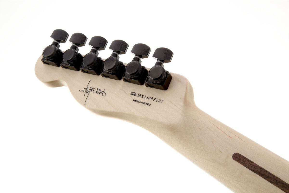 Telecaster Signature Jim Root Ebo Mattweiß